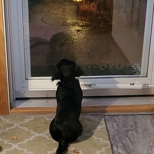 Meet your Posher, Fred